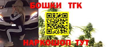 дживик Вышний Волочёк