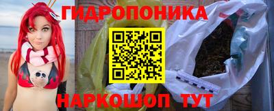 дживик Вышний Волочёк