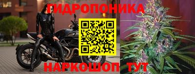 2c-b Вязьма