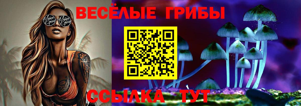 дарнет шоп  Вход с VPN  Обнинск  Галлюциногенные грибы Cubensis 
